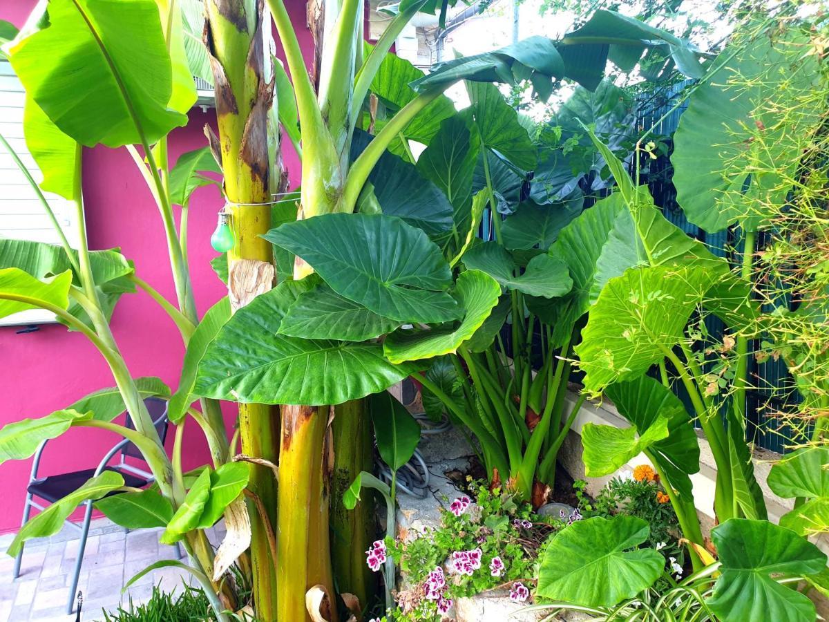 Aloe House Lakithra Villa Ngoại thất bức ảnh